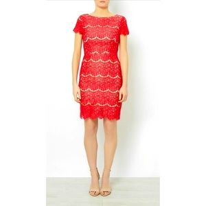 << Darling >> Red Candice Scallop Lace Knee-Length Dress size XS (UK 6)